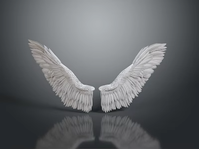 Decorative White Feather Wings Ornament Symmetrically Spread With Reflection On Dark Surface 3d model