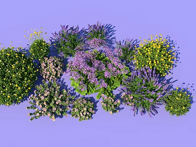 Colorful Mixed Flowers and Plants with Purple Lavender Yellow Blossoms Green Shrubs 3d model