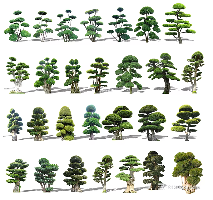 Different Types of Ornamental Arbor Trees With Pruned Shapes And Lush Foliage 3d model 