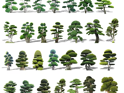 Different Types of Ornamental Arbor Trees With Pruned Shapes And Lush Foliage 3d model