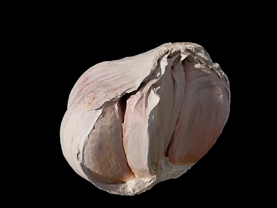 Close Up View of Fresh Peeled Garlic Bulb with Cloves on Black Background 3d model
