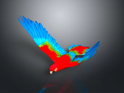 Colorful Parrot Flying With Vibrant Blue Red Green Feathers In Mid Air 3d model