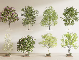 modern landscape tree 3d model
