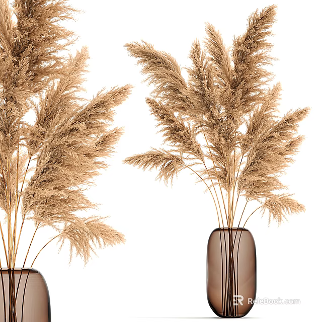 Brown Glass Vase With Dried Pampas Grass Stems On White Background 3d model 