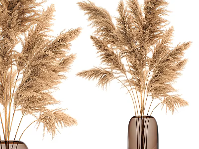 Brown Glass Vase With Dried Pampas Grass Stems On White Background 3d model
