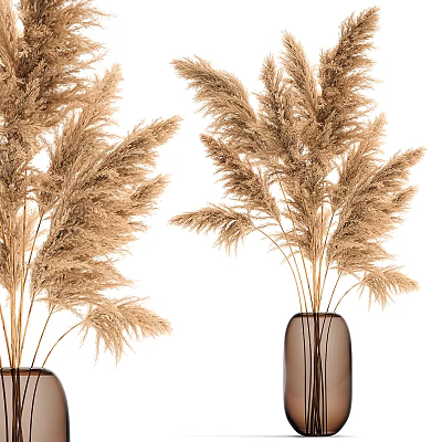 Brown Glass Vase With Dried Pampas Grass Stems On White Background 3d model