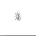 Single Bare Tree with Snow Covered Branches Standing Against Neutral Background 3d model