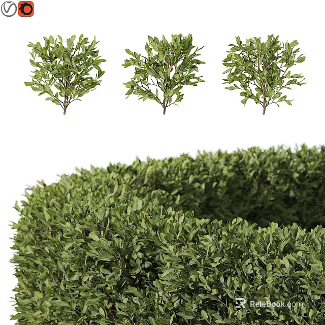 Garden Decor Featuring Small And Large Round Shaped Green Shrubs For Garden Landscaping 3d model 