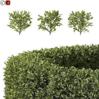 Garden Decor Featuring Small And Large Round Shaped Green Shrubs For Garden Landscaping 3d model