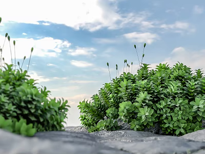 Lush Green Plants Growing On Gray Ground Under Blue Sky And White Clouds 3d model