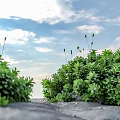 moss cucurbit moss su model vray 3d model