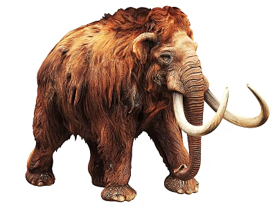 Realistic Woolly Mammoth Model With Long Curved Tusks And Furry Body 3d model