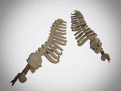 Skeletal Weapon Design With Rib Cage And Skull Structures 3d model