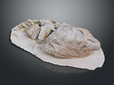 Unique Stone Wood Art Piece With Natural Form And Detailed Texture For Interior Decor 3d model
