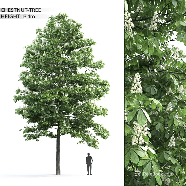 Decorative Ornament Set with Green Leaf Tree White Flowers and Figure Decoration 3d model 