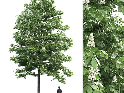 Decorative Ornament Set with Green Leaf Tree White Flowers and Figure Decoration 3d model