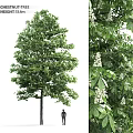 Decorative Ornament Set with Green Leaf Tree White Flowers and Figure Decoration