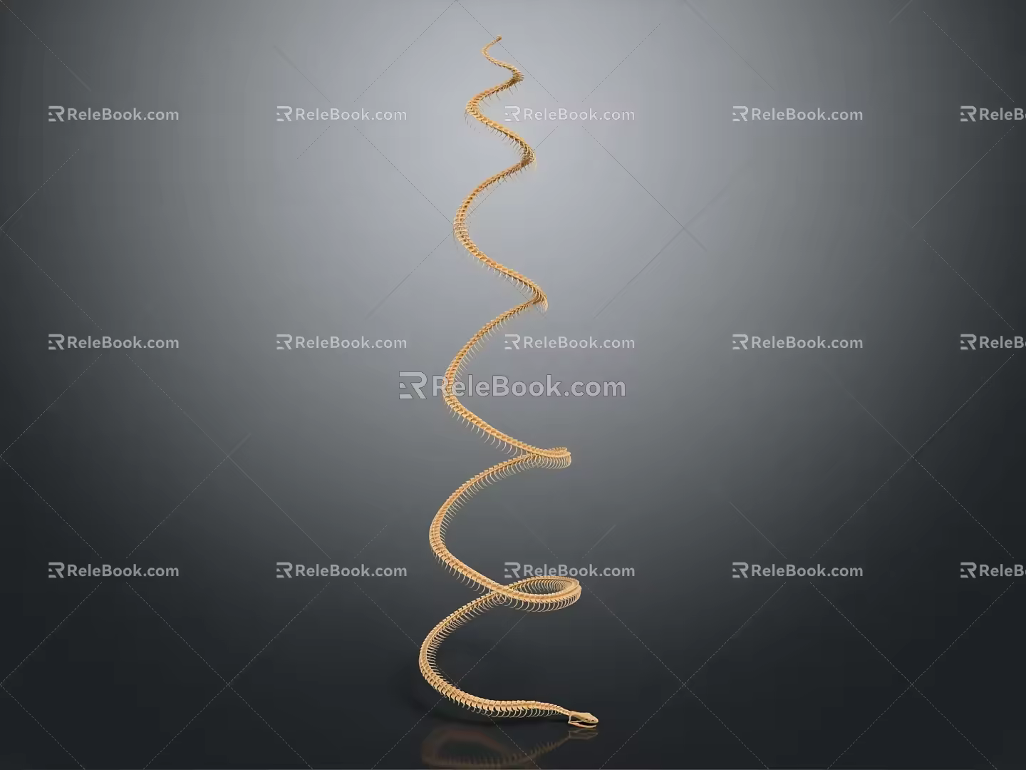 Modern Snake Bone Snake Skeleton 3d model