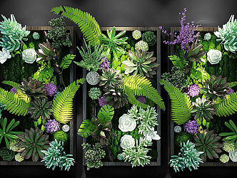 Plant wall 3d model