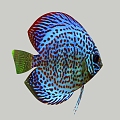 Fish 3d model