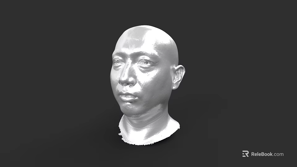 Detailed Male Head 3D Sculpture Model in White with Black Background 3d model 