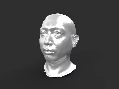 Detailed Male Head 3D Sculpture Model in White with Black Background 3d model