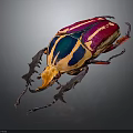 Colorful Beetle With Purple Blue Yellow Red Stripes And Large Horn Against Dark Background