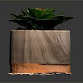 Green Leaf Succulent Plant in Wooden Pot with Orange Rim and Small Pebbles