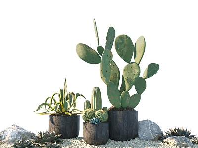 Blue Bonsai Combination Landscape Cactus Tequila Cactus Snow of the World 3d model