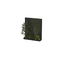 Decorative Greenery Plant Arrangement With Vines Tree And Shrubs On Gray Wall