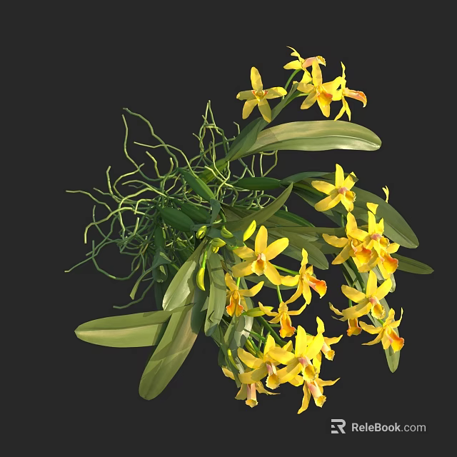 Beautiful Blooming Yellow Orchids with Green Leaves and Slender Curly Vines 3d model 