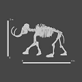Prehistoric Game Film Character Elephant Skeleton Model With 3 Meters Height