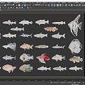 marine aquarium fish 3d model