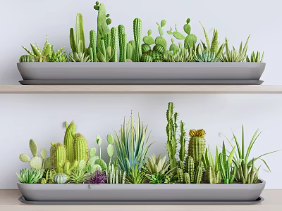 Potted Bonsai Plants With Cactus And Succulents On Two Tiered Shelves Long Planter 3d model