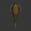 Ancient Marine Trilobite Like Creature With Brown Segmented Body Pointed Tail Appendages 3d model