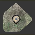 Tree Stump With Blue Circular Top Surrounded By Green Grass In Scenic