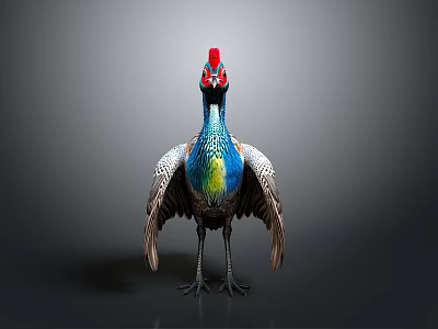 Colorful Bird with Red Crest Blue Neck Green Yellow Chest Spreading Wings Against Gray Background 3d model