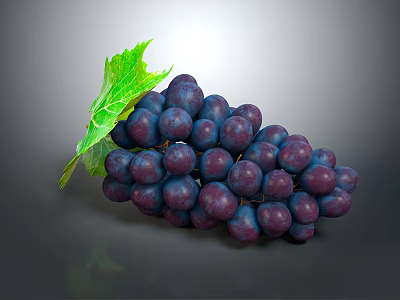 Fresh Juicy Deep Purple Grapes With Green Leaf And Plump Berries 3d model
