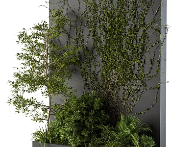Decorative Greenery Plant Arrangement With Vines Tree And Shrubs On Gray Wall 3d model