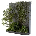 Decorative Greenery Plant Arrangement With Vines Tree And Shrubs On Gray Wall