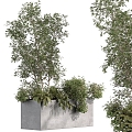 Modern Other Backyard Vase Plant Box Grass 3d model