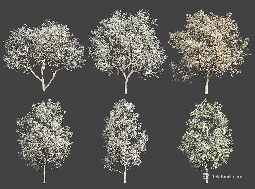 Various Arbor Species With Different Foliage Colors And Natural Shapes For Landscaping 3d model 