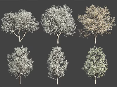 Various Arbor Species With Different Foliage Colors And Natural Shapes For Landscaping 3d model