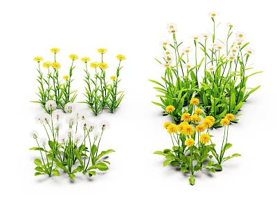 Colorful Flowers And Green Plants With Yellow White Blooms And Fresh Leaves 3d model