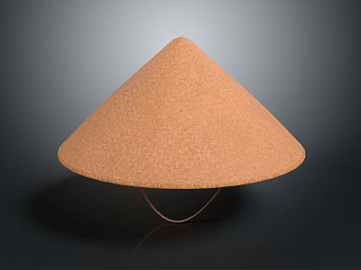 Brown Conical Woven Traditional Straw Hat with Dark Background Reflection 3d model