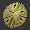 Fantasy Character With Bark Textured Body And Mushroom Shaped Head Design