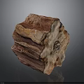 Fossilized Plant Specimen with Red Striped Texture and Central Circular Hole