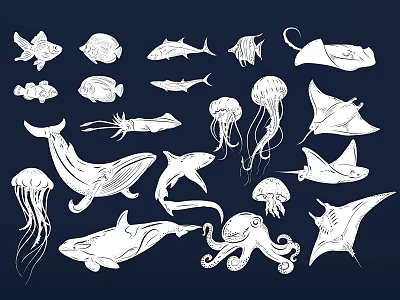 marine animal whale jellyfish octopus fish pattern cartoon hand drawn 3d model
