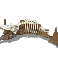 Modern Bone Dinosaur Bone 3d model