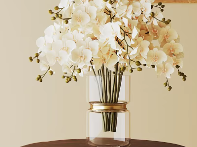 Potted White Orchid Plant in Glass Vase with Gold Ring on Dark Table Light Wall 3d model